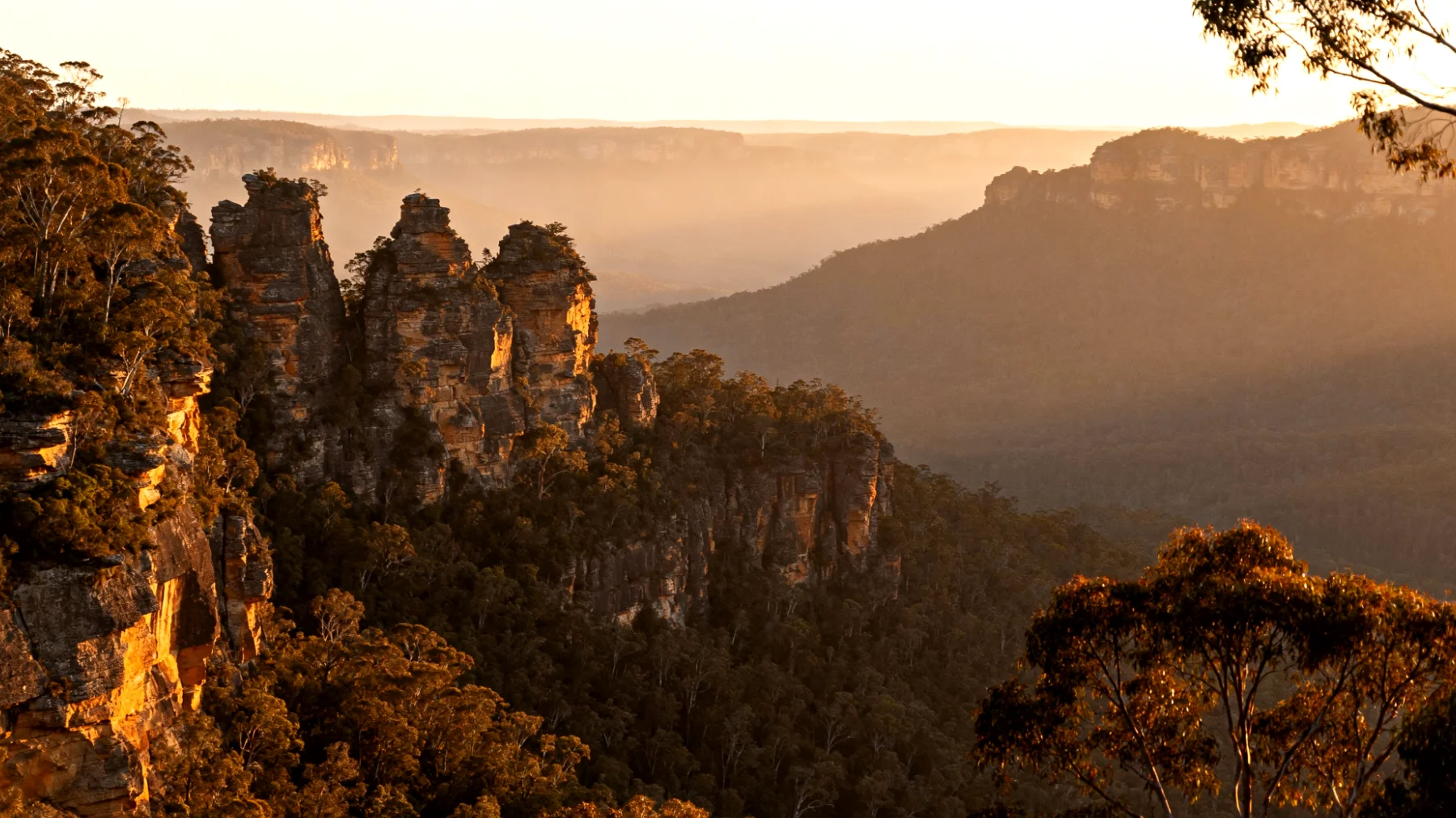 Blue Mountains"
